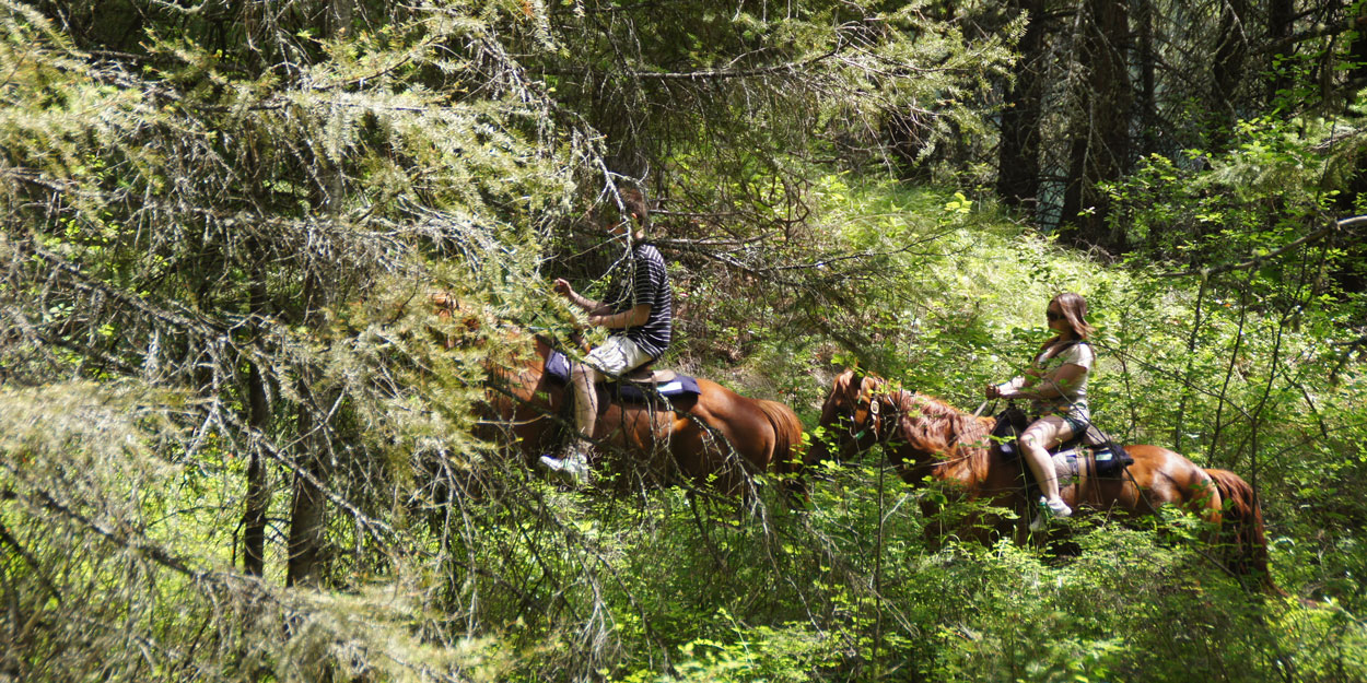 Okanagan trail rides for all levels, with easy access from Kelowna, Vernon and Lake Country