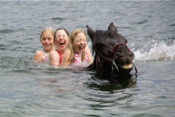 Okanagan Stables Photo Gallery