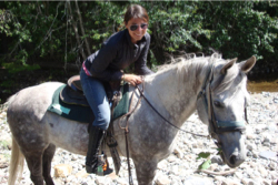 Okanagan Stables Photo Gallery