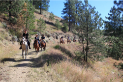 Okanagan Stables Photo Gallery
