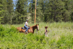Okanagan Stables Photo Gallery