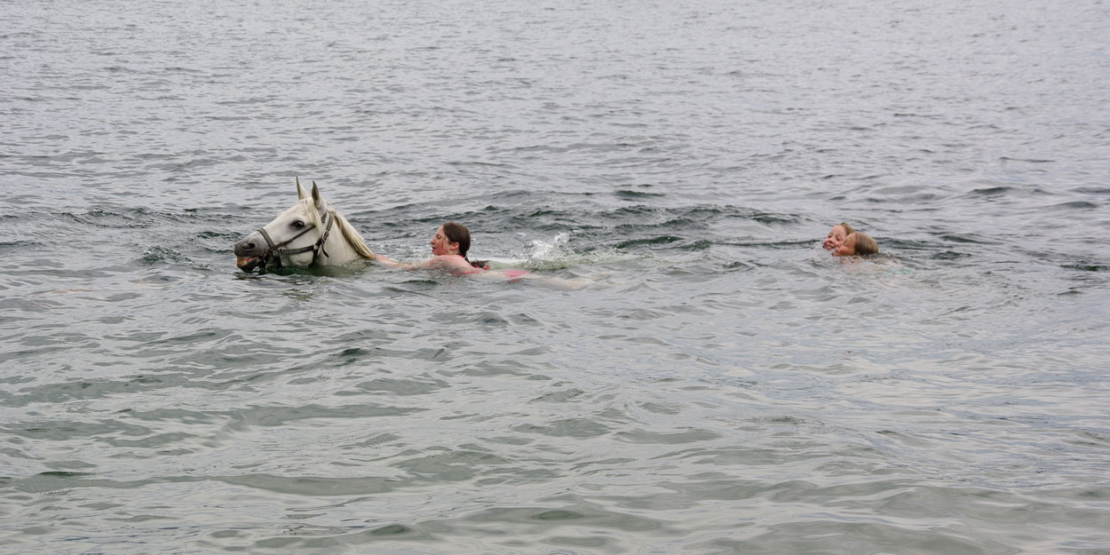 Okanagan Stables has been offering horseback trail rides to Kelowna, Vernon and Lake Country visitors since 1987